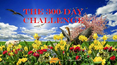 The 300 Day Challenge