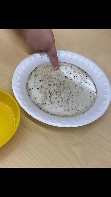 Simple experiment shows the importance of washing our hands!