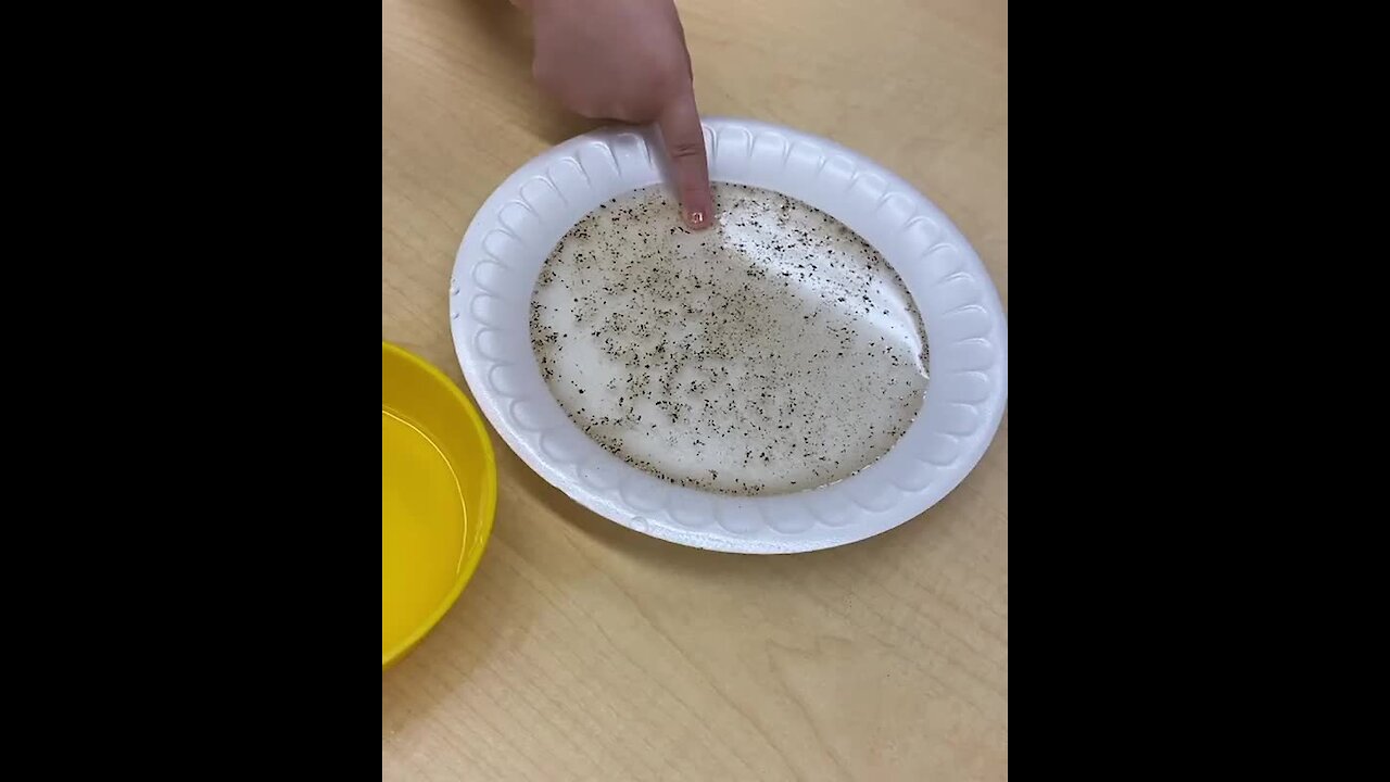 Simple experiment shows the importance of washing our hands!