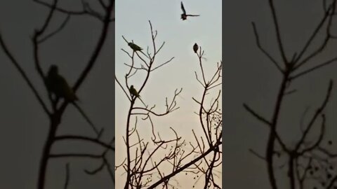 dil ❤️ shorts,#shorts,joke fun shorts,minecraft shorts,short,joke fun shorts youts #shorts