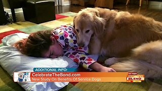 Benefits Of Service Dogs!