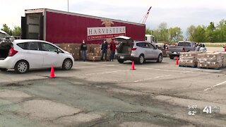 Harvesters in need of volunteers to help sort and package food