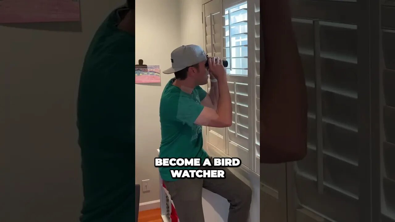 Uncovering the Insane Secrets of Bird Feeding What You Didnt Know