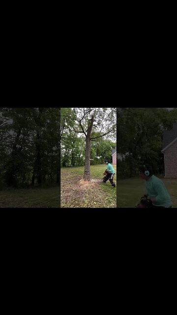 60 volt Chain Saw - Toro