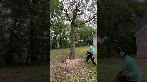 60 volt Chain Saw - Toro