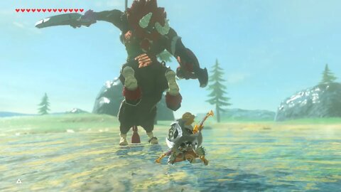 Breath of the Wild Master Mode 96