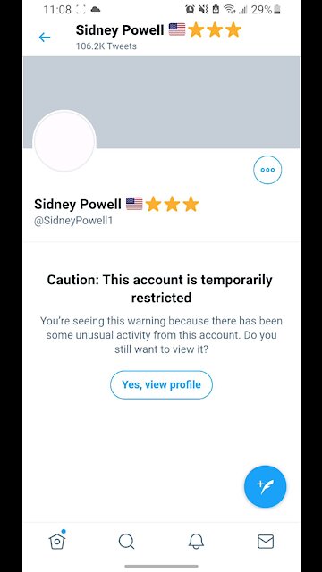 Sidney Powell restricted