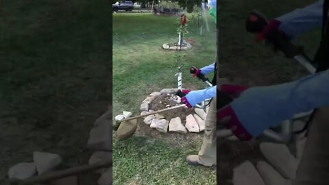 Jenny’s Strange Allergy Gear 😂shorts