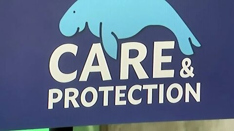 FLORIDA MAKES*HISTORIC INVESTMENT IN SAVING ONE OF THE STATES MOST ICONIC WILDLIFE RESIDENTS!!!