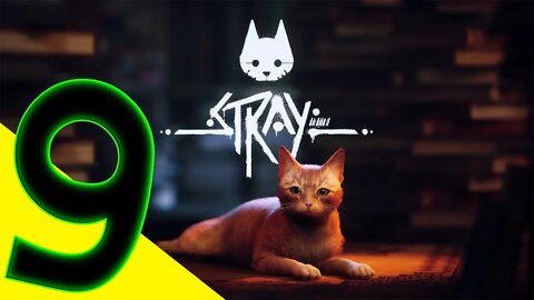 STRAY PC Walkthrough Gameplay - Part 9