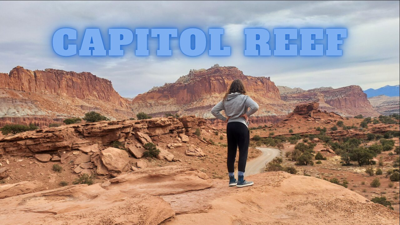 Exploring Capitol Reef and The Grand Wash with a Golden Retriever