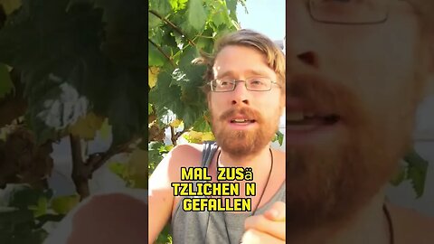 Warum Laub wertvoll für deinen Garten ist #shorts