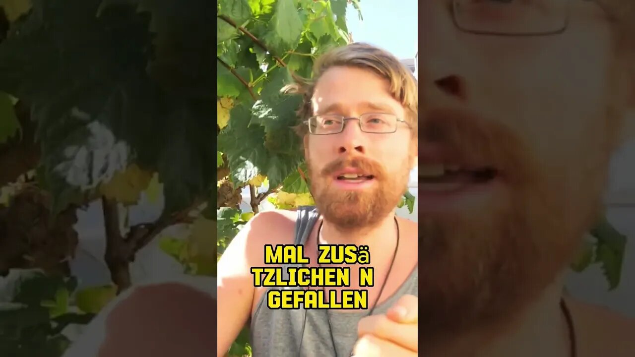 Warum Laub wertvoll für deinen Garten ist #shorts