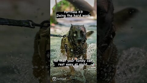 Let us do the work for you. Fortressk9.com #malinoislovers