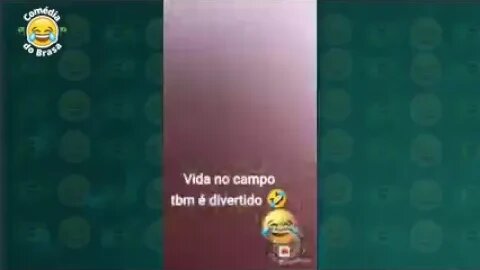 duvido você não rir os vídeos mais engraçados do WhatsApp 2023 número(4)