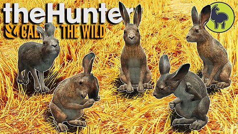 Varmint Hunter, Hunt Club Beta | theHunter: Call of the Wild (PS5 4K 60FPS)