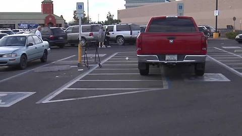 Gilbert police return peacock to owners after 'hot pursuit'