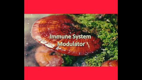 Ganoderma: The Immune System Modulator