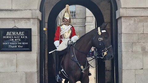 Get behind the bollards. PLEASE #horseguardsparade