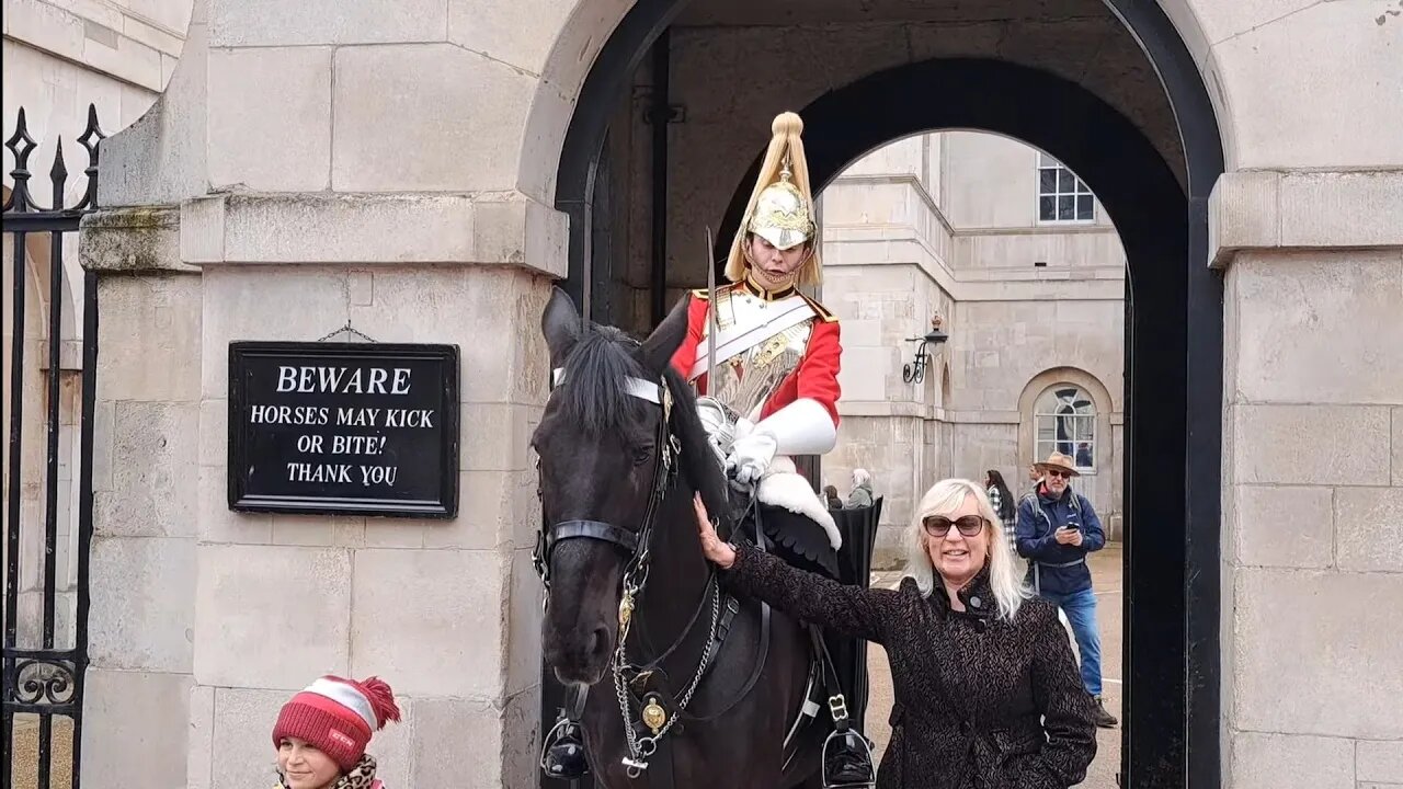 Don't touch the Reins #horseguardsparade