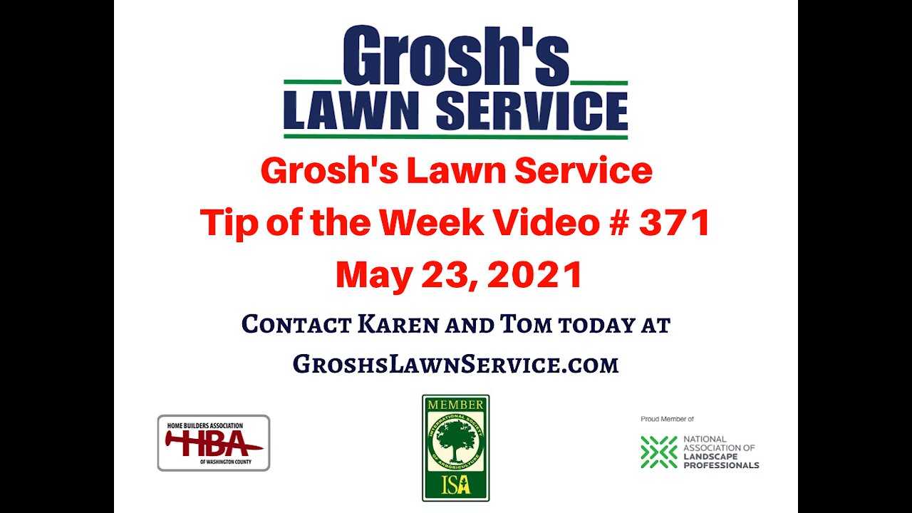 Lawn Care Hagerstown MD Mowing Service