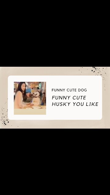 FUNNY CUTE DOG REACTION