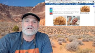 Biden’s Executive Order Designed to Release Transhumanist Hell on America