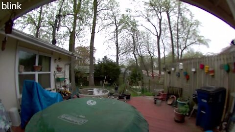 SOUTH_VIDEO_DOOR_BELL_2023-04-07T14_33_17-0400.mp4