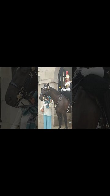 Another one touches the reins #horseguardsparade