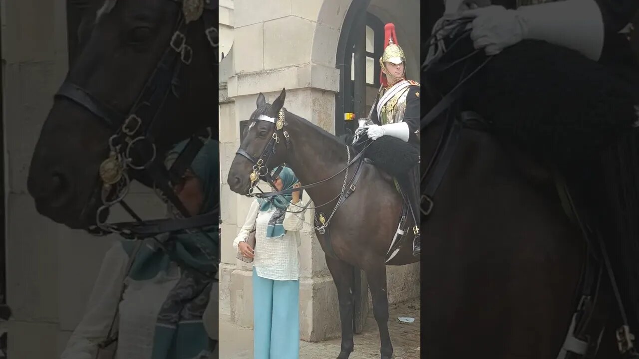 Another one touches the reins #horseguardsparade