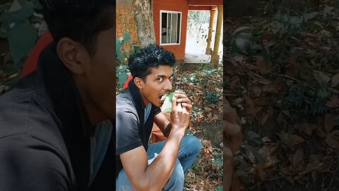 മോഷണം ഒരു കലയാണ് 😂 #coconut #thengakola #pachamaga #shorts