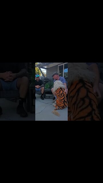 Henry the Liger Interview!!!