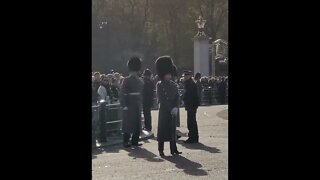 The Guards shuffle #buckinghampalace