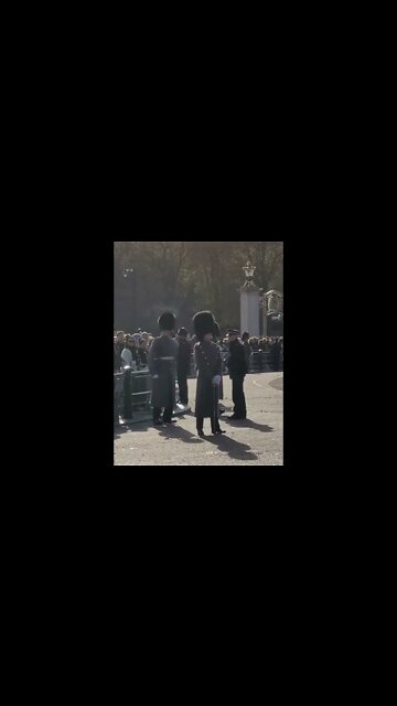 The Guards shuffle #buckinghampalace