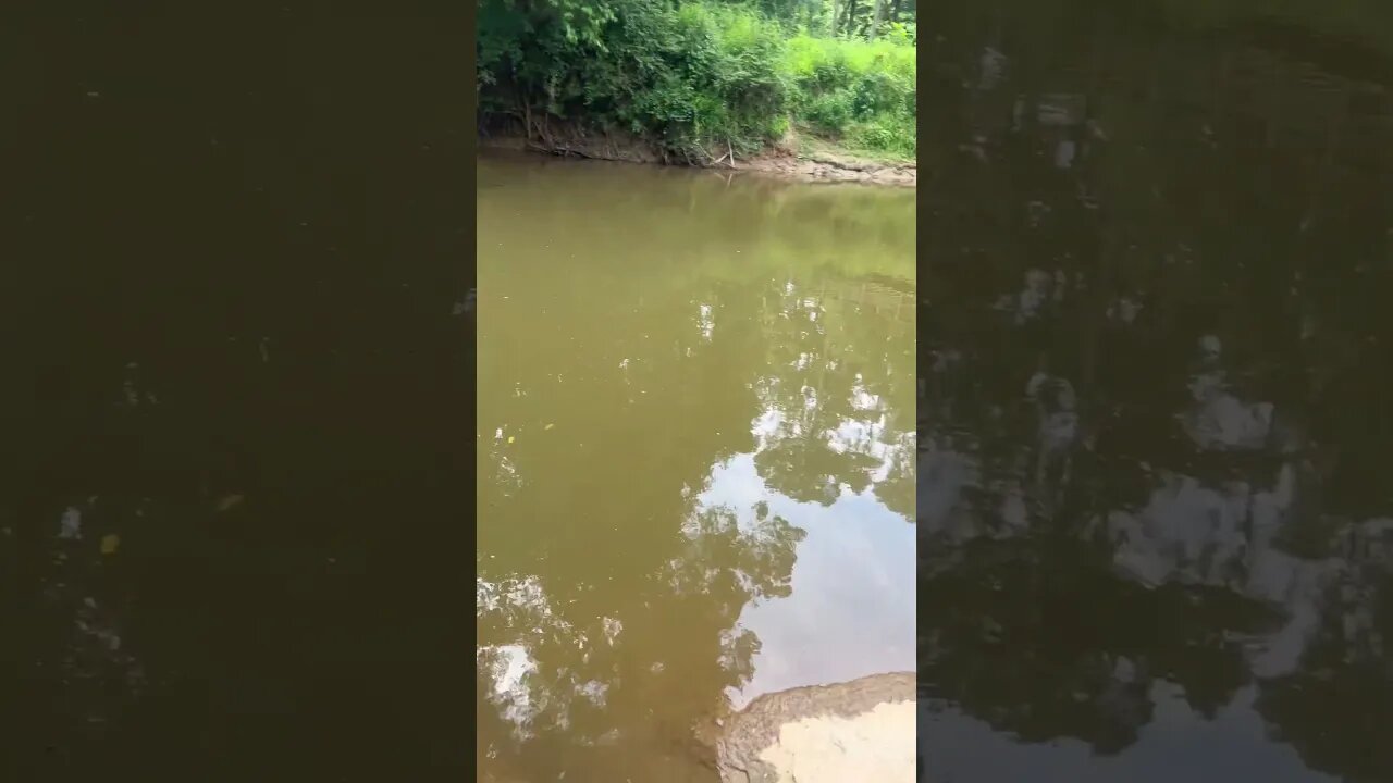 Happy Thursday! Fishing at the creek after work #fishing #outdoors #nature