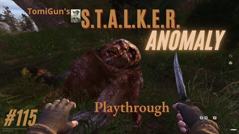 S.T.A.L.K.E.R. Anomaly #115: The Zone is Angry. Sent an Emission and a Pseudogiant Against Me.