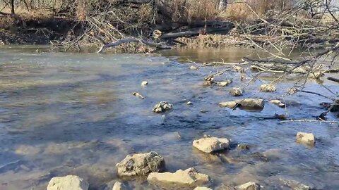 Soothing Sounds of a Small Brook - Soothing Sounds of Nature #naturesounds #relaxing #meditation