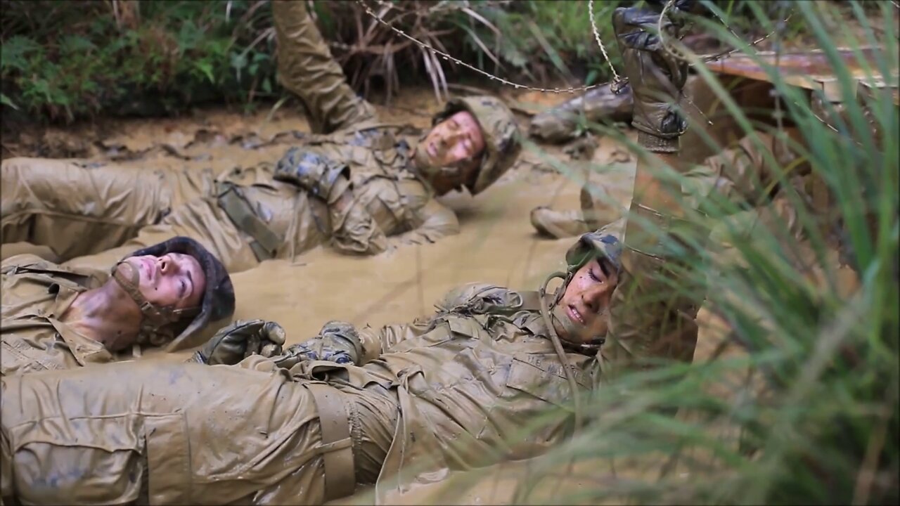 3d Marine Division Marines Execute Basic Jungle Skills Course