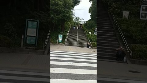 #etsukojunio #etsukofans #fransiscaofficial #teamfransisca #沉连清 #fransisca #fransiscametaworld