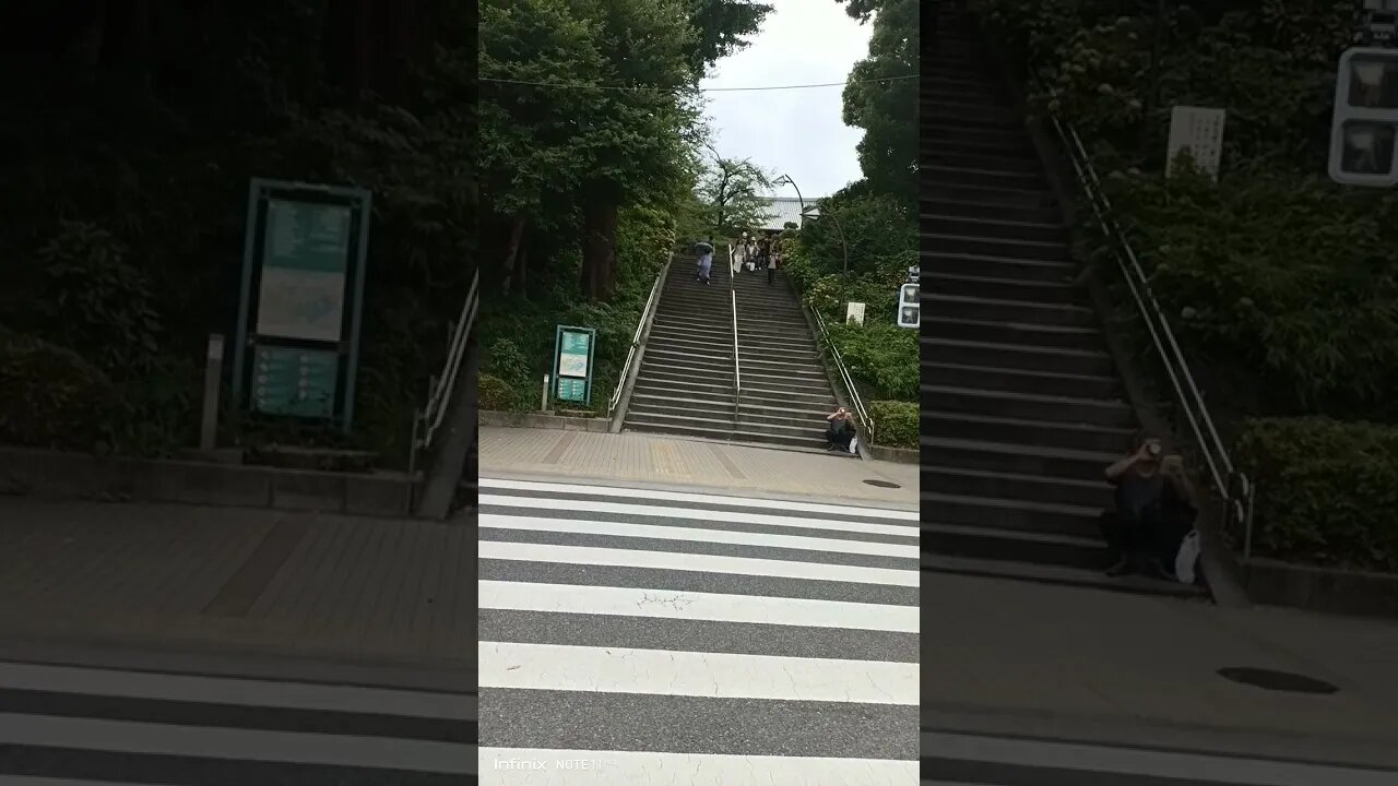 #etsukojunio #etsukofans #fransiscaofficial #teamfransisca #沉连清 #fransisca #fransiscametaworld