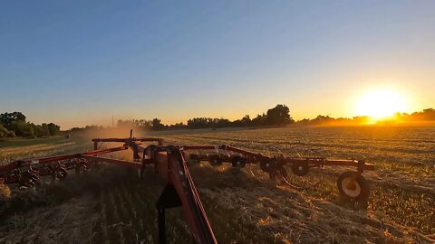 A Great Day for Hay!