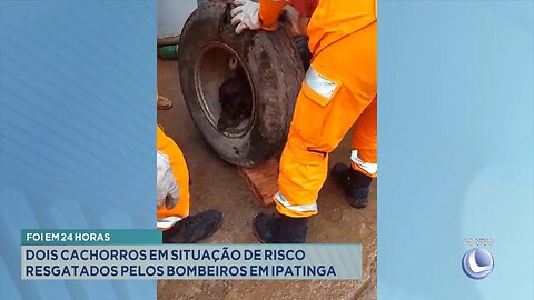 Foi em 24 horas: 2 cachorros em situação de risco resgatados pelos Bombeiros em Ipatinga.