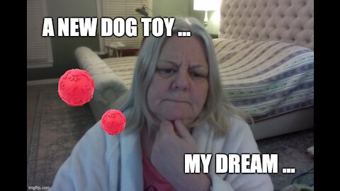 I Had a Dream for a Dog Toy