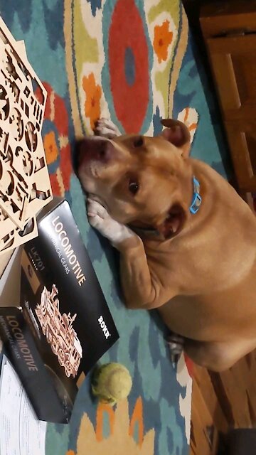 My dog, and something coming to y'all soon!