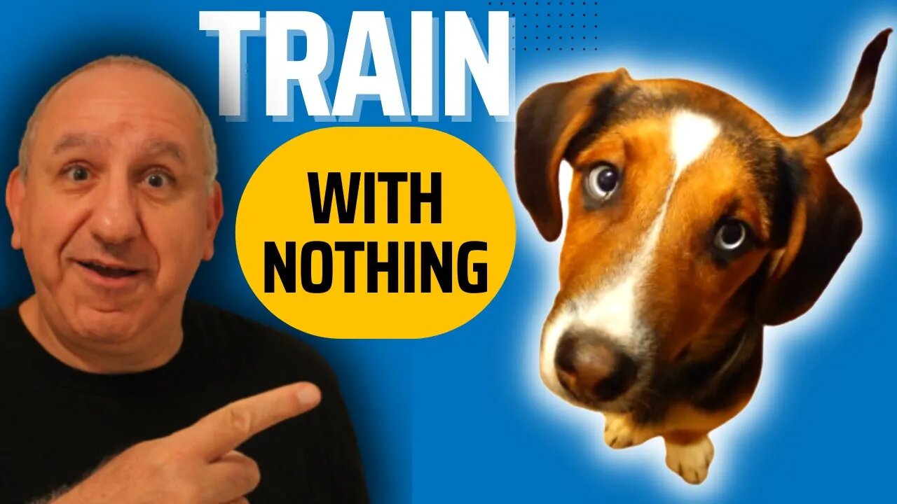 How To Train Your Dog Obedience Commands Without Treats and Using Relationships