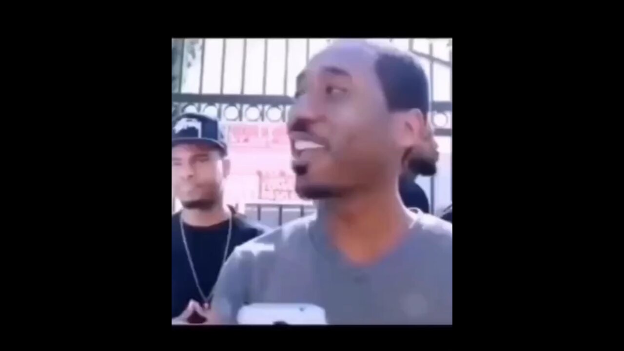 funny memes