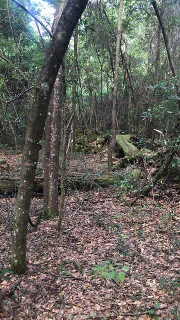 Renee’s Way bicycle trail