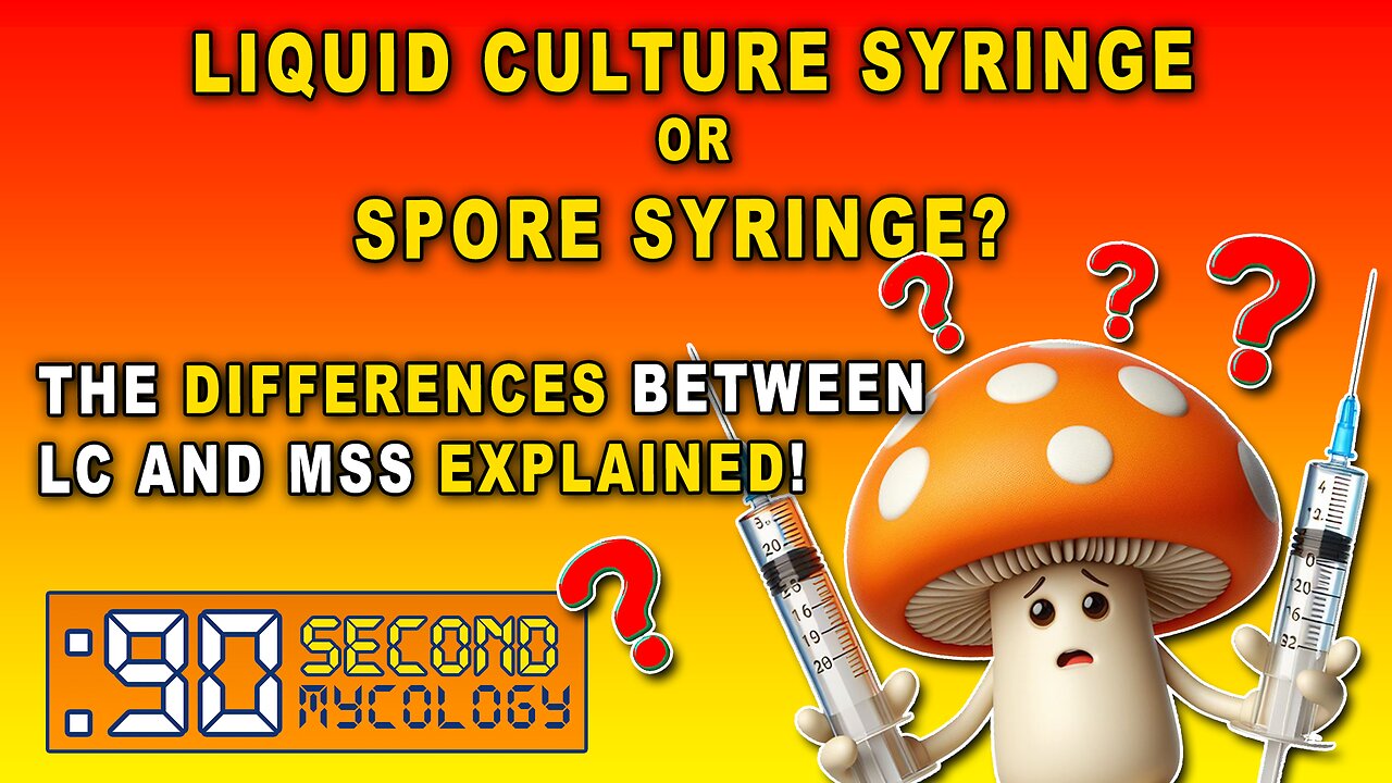 Liquid Culture (LC) & Spore Syringes (MSS) EXPLAINED! \\ In-Depth Look