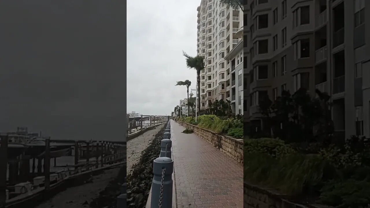 Hurricane Ian Tampa Bay, Harbour Island #shorts #hurricaneian #tampabay #harbourisland