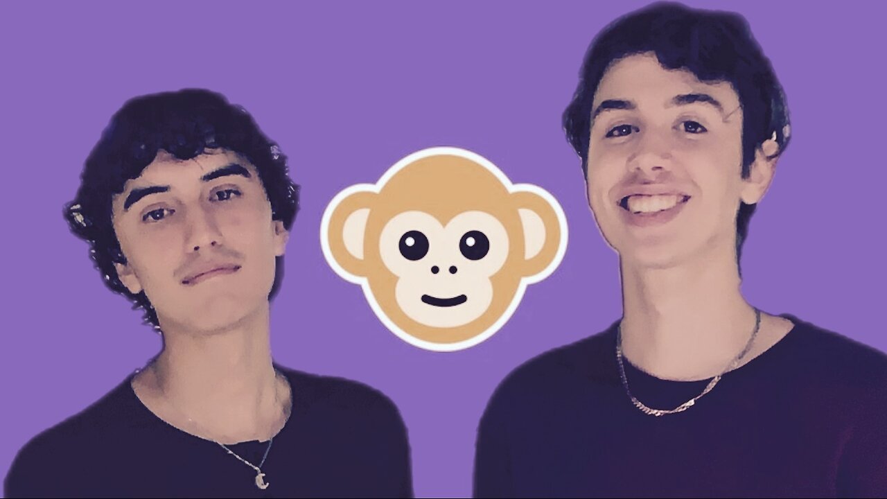 Monkey Business Livestream